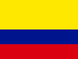 VERIFICAR REGISTRO - COLOMBIA SERVICES