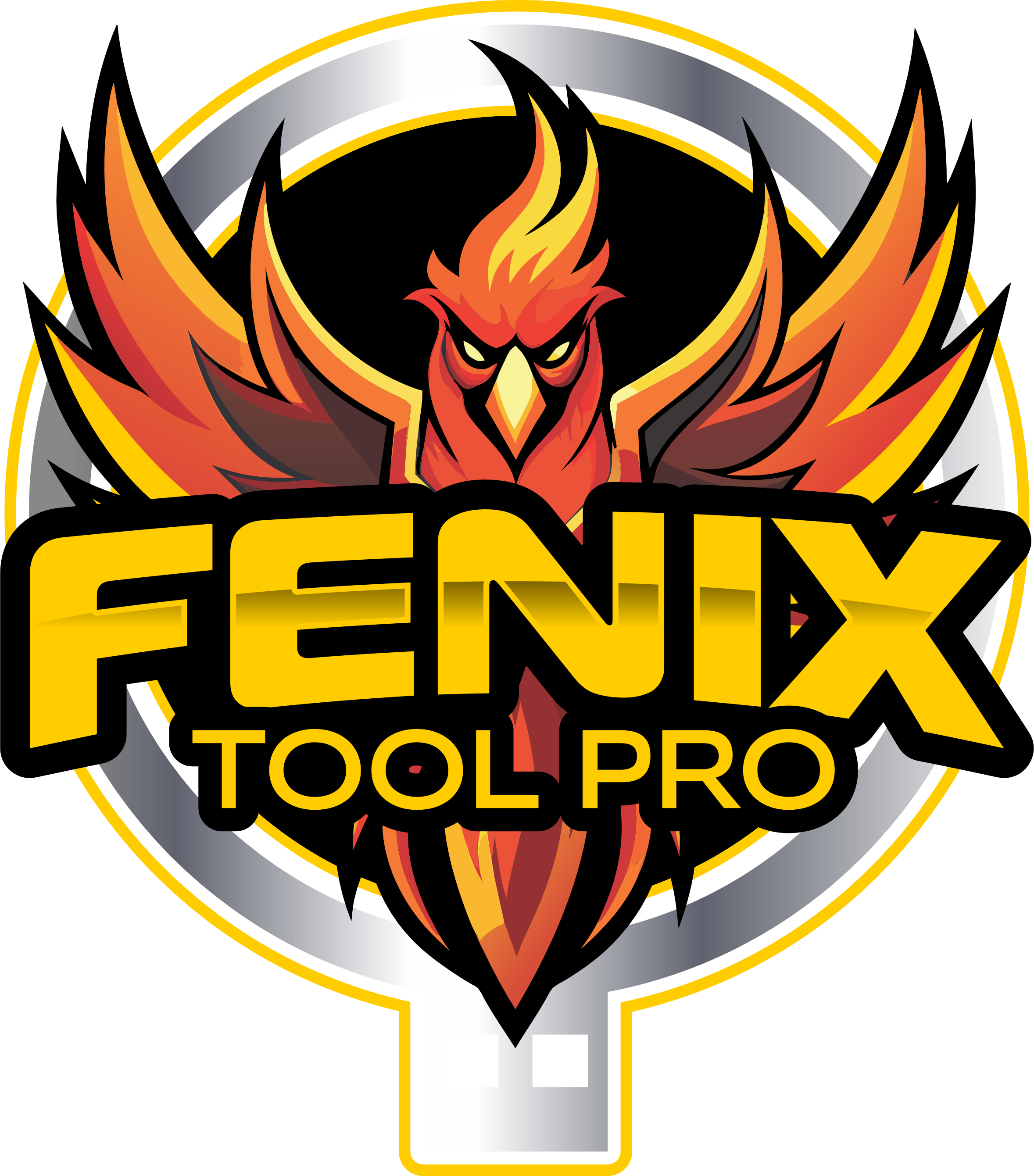 Fenix Tool Pro 12 Months Activation✅️